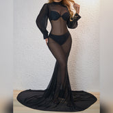 Round Neck Long Sleeve Mesh See-Through Floor-Length Dress